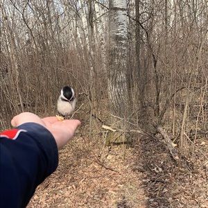 Meet your Posher, Caitlin